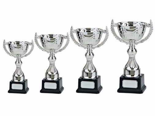 Cups-Trophies